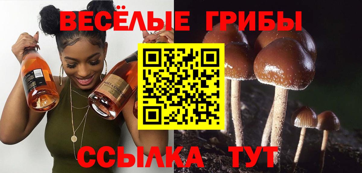 Псилоцибиновые грибы Magic Shrooms  Вход с VPN  Галлюциногенные грибы Cubensis  Старая Русса 